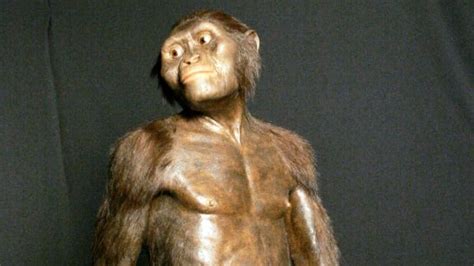 Human Ancestor Lucys Cause Of Death Solved Scientists Say