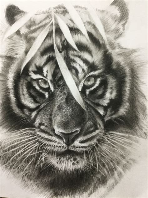 Tiger Tattoo Sketch Design Be Prioritized Day By Day Account Picture