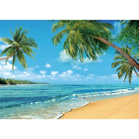 Buy Allenjoy 7x5ft Summer Sunshine Luau Tropical Paradise Beach