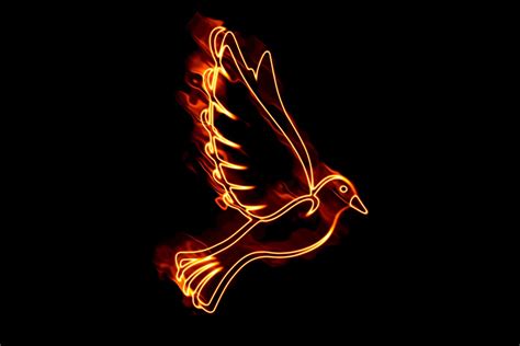 Paloma Fuego Pentecostés Espíritu Imagen Gratis En Pixabay