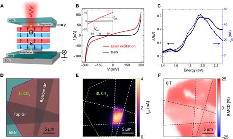 Spin Photovoltaic Effect In Magnetic Van Der Waals Heterostructures