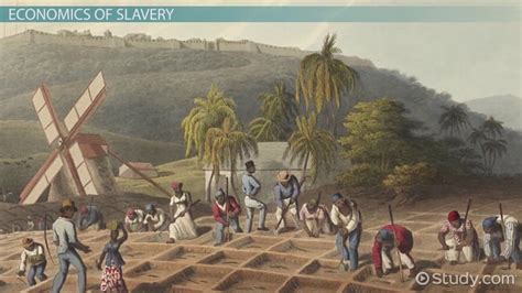 The African Slave Trade Definition Triangular Trade And History