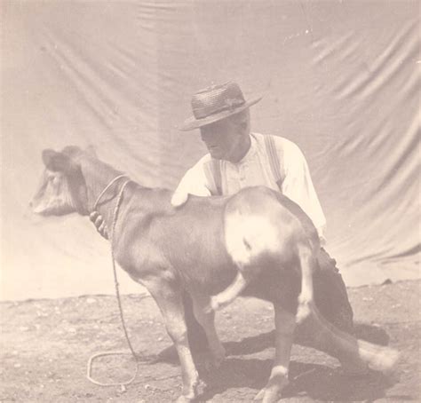 Dipygus Parasiticus Of Calf Cp 1933 National Museum Of Flickr