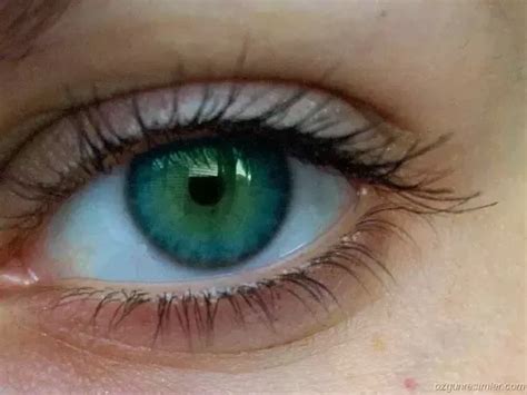 Which Eye Colour Is The Most Attractive In The World Quora