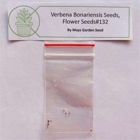 Verbena Bonariensis Seeds Purple Flower Seeds132 Rooted Retreat