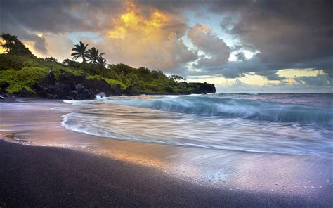 Download Horizon Palm Tree Hawaii Cloud Sea Ocean Nature Beach Hd Wallpaper