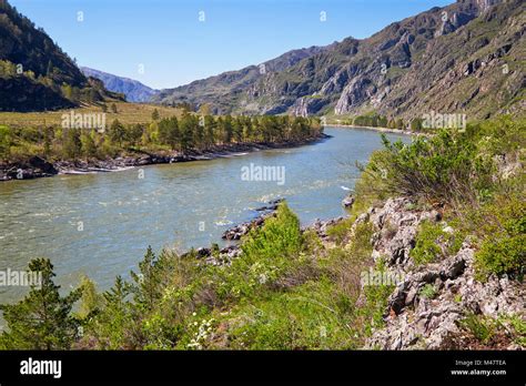 River Katun Near Chemal Village Altai Russia Stock Photo Alamy