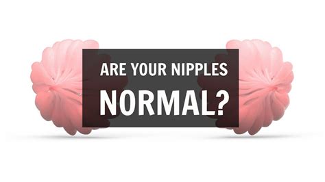 Science Explains Nipples Are Your Nipples Normal Youtube