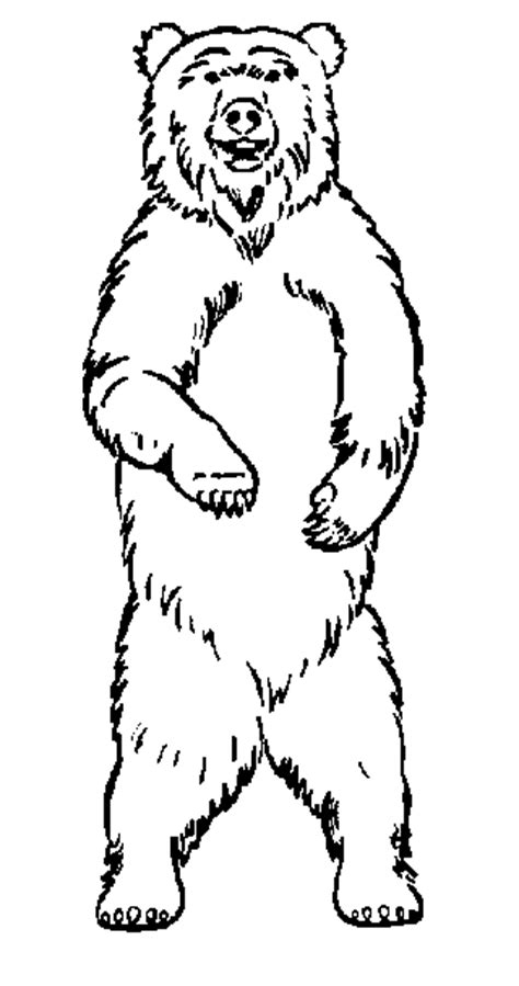 Free Bear Drawing Cliparts Download Free Bear Drawing Cliparts Png