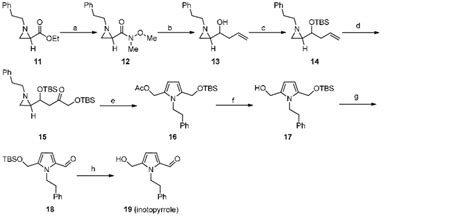 Scheme 6 Synthesis Of Inotopyrrole 19 From Aziridine 11 A