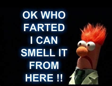 Who Farted Ok Who Farted Quotes Pinterest Funny Scary Pranks