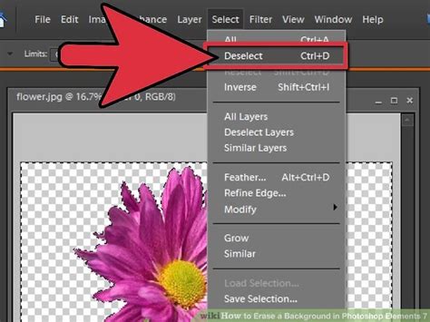 How To Erase A Background In Photoshop Elements 7 10 Steps