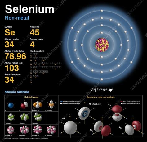 Selenium Atomic Structure Stock Image C0183715 Science Photo