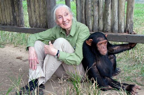 Jane Goodall To Headline Uris Fall 2017 Honors Colloquium Uri Today