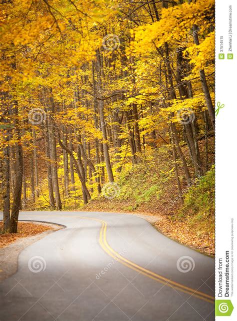 Fall Color Road Stock Image Image Of Outside Leaf Pacific 37514515