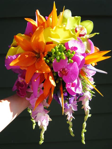 The flowers, butterflies and panoramic pics are gorgeous. Tropical wedding bouquet | Tropical wedding bouquets ...