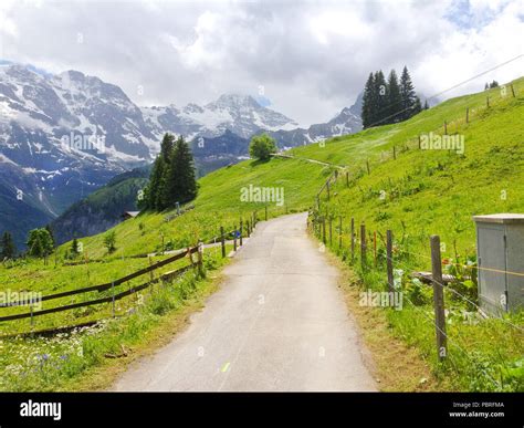 Spectacular Panoramic View From Murren Gimmelwald Walking Trail With