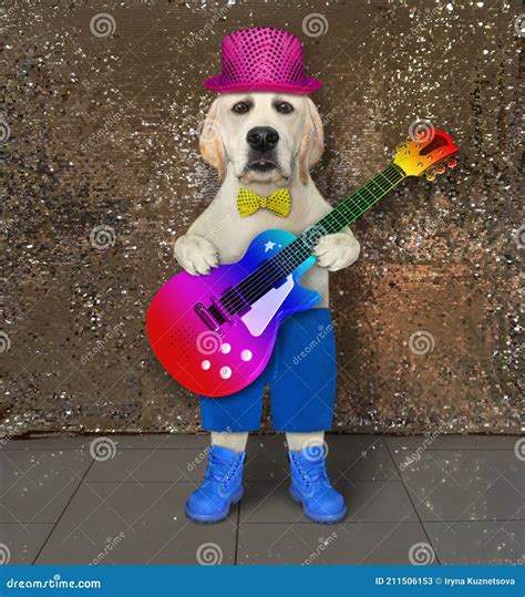 Dog With Guitar Sings Song 2 Stock Image Image Of Acoustic Creative