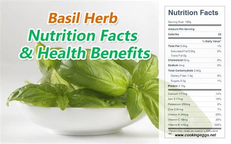 Basil Nutrition Facts And Health Benefits Cookingeggs