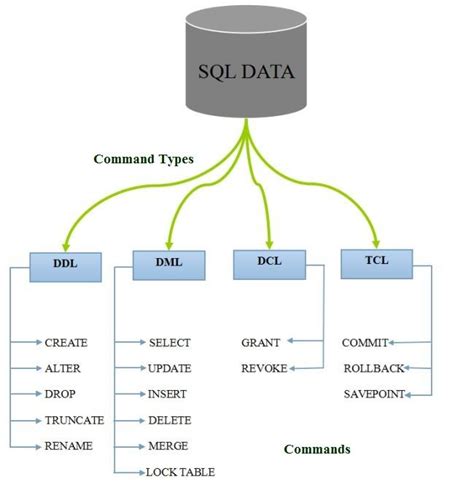 Sql Commands And Data Types Sql Basics Dbms Tutorial
