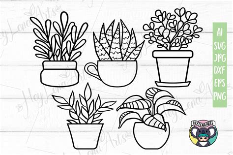 Potted Plants svg, Svg Files for Cricut, Cut File, dxf png (579068