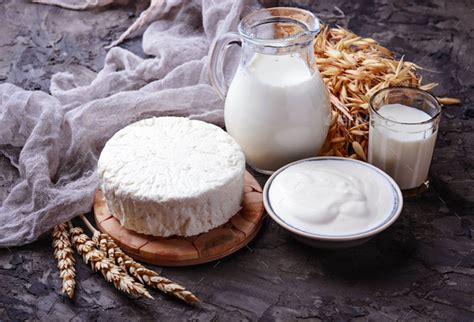 Tzfat Cheese Milk And Wheat Grains Symbols Of Judaic Holiday Shavuot