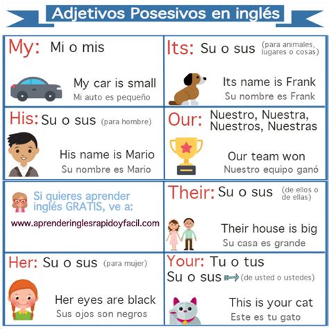 Adjetivos Posesivos En Inglés My Your His Her Its Our Y Their