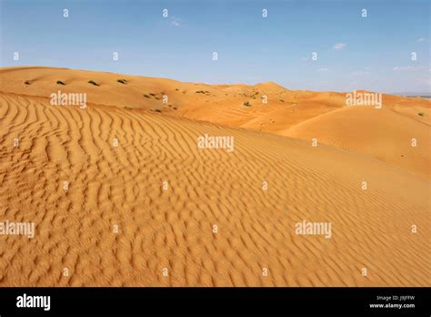 Sultanate Of Oman Ash Sharqiyah Desert Of Wahiba Sands Stock Photo