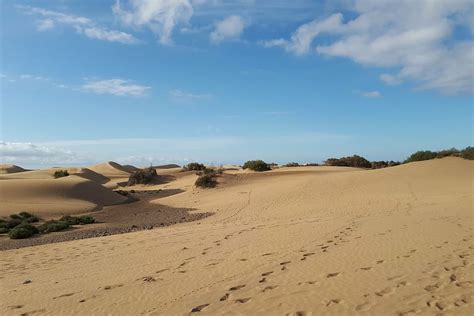 Hd Wallpaper Gran Canaria Maspalomas Sand Dunes Canary Islands