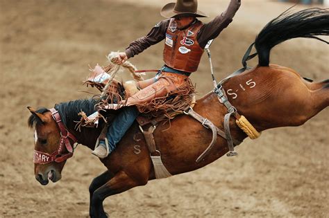 Bronc Riding Wallpapers Wallpaper Cave