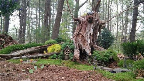 Over 150 Fairy Homes Will Soon Emerge In This Enchanted Forest I Wond