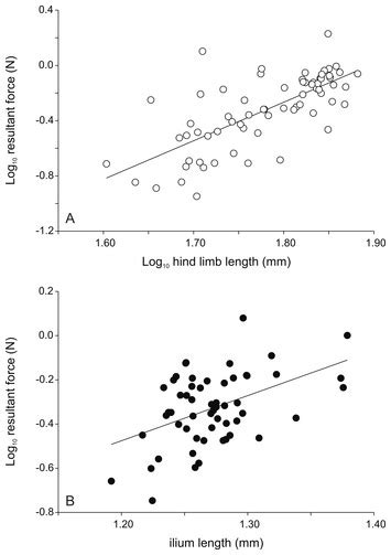 jumping performance in the highly aquatic frog xenopus tropicalis sex