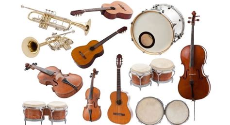 Terdapat beragam jenis alat musik yang dikenal masyarakat, baik alat musik lokal maupun alat musik mancanegara memiliki keragaman dalam berbagai hal. Jenis musik tradisional dan modern