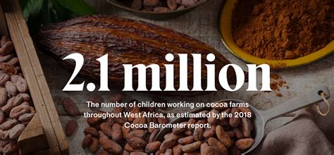 The Chocolate Industry Still Relies On Child Labor The Outline