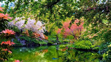 Lake Between Beautiful Colorful Flowers Garden With Reflection 4k Hd