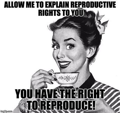 Reproductive Rights Explained Imgflip