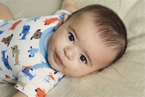 Happy Beautiful Hispanic Baby Boy Relaxing Stock Image Image 18810271