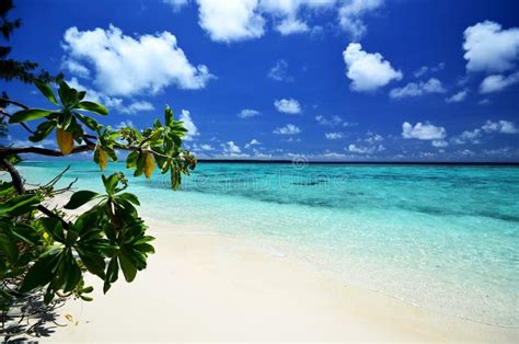 Tropical Island With Turquoise Water Stock Photo Image Of Coastal