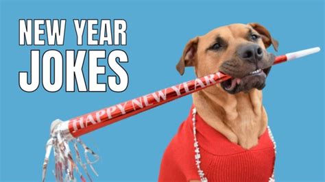 70 Funny New Year Jokes For A Hilarious Start To 2024