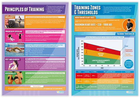 Buy Physical Training Posters Set Of 7 Pe Posters Laminated Gloss