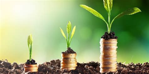 5 Tips For Sustainable Investment Growth In La