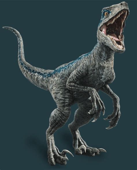 Arriba Foto Dibujos De Blue De Jurassic World Mirada Tensa