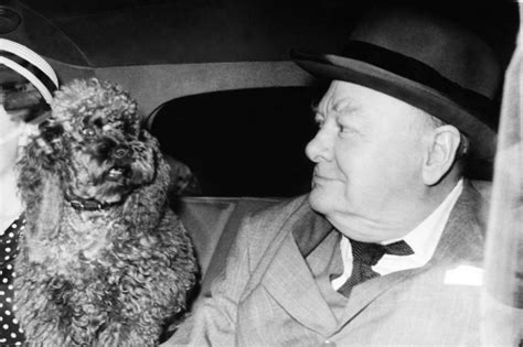 Famous Dogs In History Rufus Winston Churchills Beloved Poodle