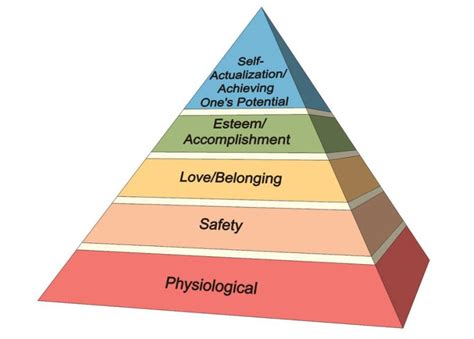 La Piramide Dei Bisogni Di Maslow Cosè E Cosa Significa Auralcrave