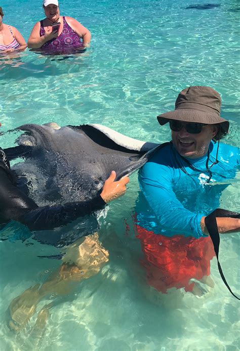 This article is a stub. Visiting Stingray City in Grand Cayman | Stay Adventurous ...