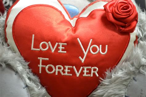 Love You Forever Free Stock Photo Public Domain Pictures