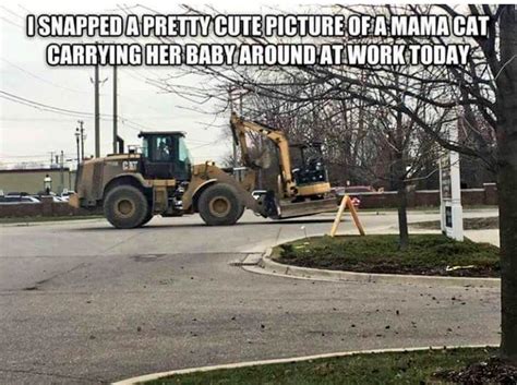 168 Best Construction Humor Images On Pinterest Construction Humor