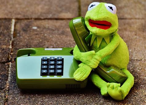 Kermit The Frog On Phone