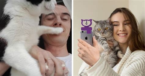 Someone Invented A Device That Will Help You Take The Purrfect Selfie With Your Cat Bored Panda