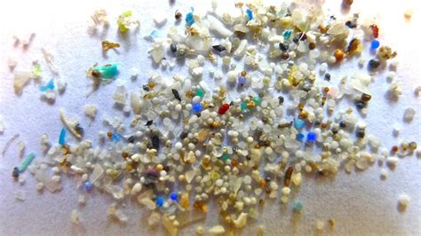 Micro Plastics Are Entering The Human Body And Are Dangerous To Human